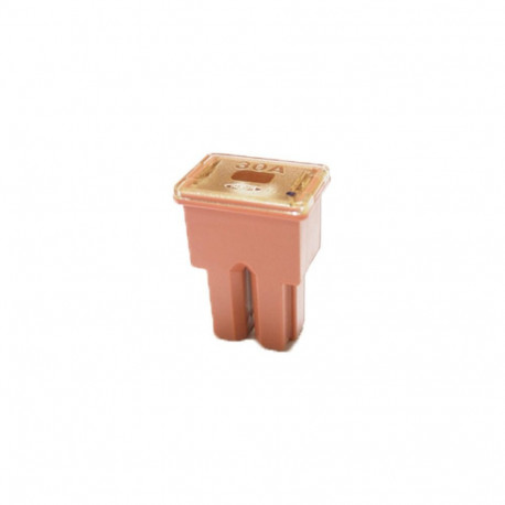 Kaitse jaapani emane 30A