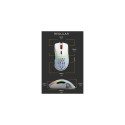 Glorious Gaming Glorious Model D Mouse Regular (White)