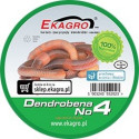 Earthworms Ekagro DENDROBENA nr4 Earthworms Ekagro DENDROBENA nr4