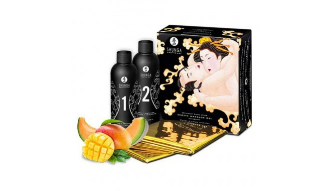 Suur lõbukomplekt Shunga SH7702 (2 pcs)