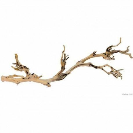 Terrarium accessory Exo Terra PT3077A1 Terrarium