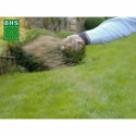 Seeds BHS 3 Kg