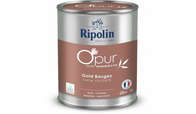 Primer Paint Ripolin