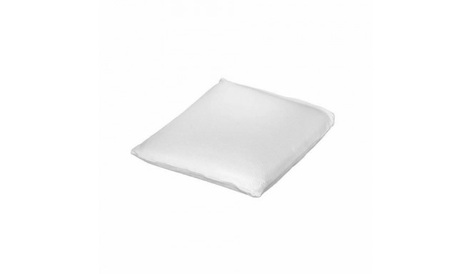 Padi Toison D'or 60 x 40 cm