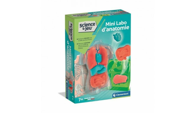 Interaktiivne Beebimänguasi Clementoni