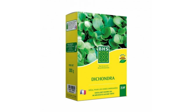 Seeds BHS Dichondra