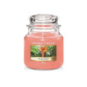 Scented Candle Yankee Candle The Last Paradise