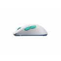 Wireless Mouse Cherry