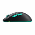 Wireless Mouse Cherry