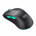 Wireless Mouse Cherry