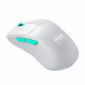 Wireless Mouse Cherry