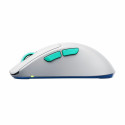 Wireless Mouse Cherry