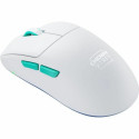 Wireless Mouse Cherry