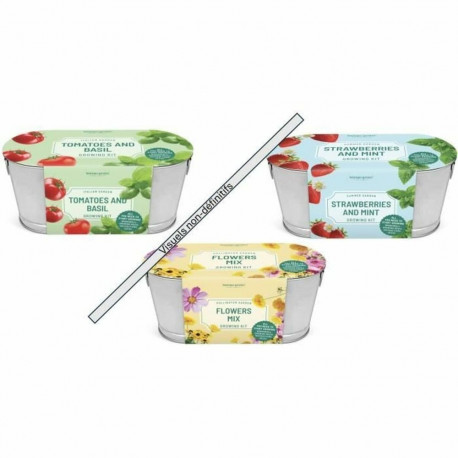 Puhastus- & hoiustamiskomplekt Silverlit