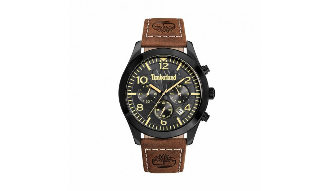 Men's Watch Timberland TDWGC0068802