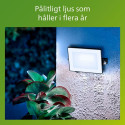 Smart Light bulb Philips 10 W