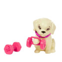 Barbie tervisepäeva komplekt