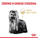 ROYAL CANIN Yorkshire Terrier 8+ kuiv koeratoit linnuliha 1,5 kg