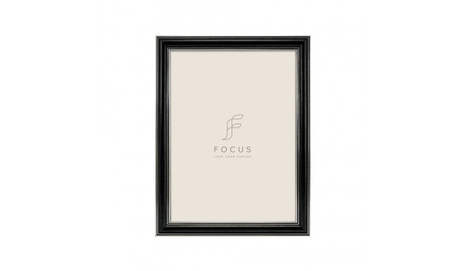 Focus Holly 18x24, must