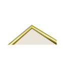 Focus Lily Gold 20x25