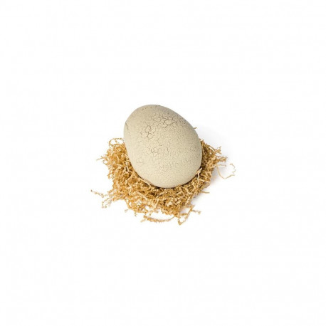 Jurassic World Primal Hatch Interactive Toy Dinosaur & Egg, Hatch & Train your own Baby Dino