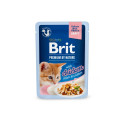 Brit Premium Chicken Fillets in Gravy märgtoit kassipoegadele 85g