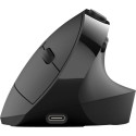Ergonoomiline hiir JLab JBuds Ergonomic Mouse