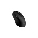 C-TECH WLM-12 mouse Office Ambidextrous RF Wireless + Bluetooth Optical 1600 DPI