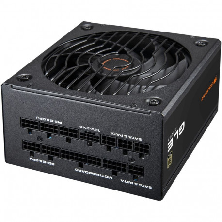 "1000W COUGAR Netzteil GLE 1000W ATX3.1 / 80 Plus Gold"