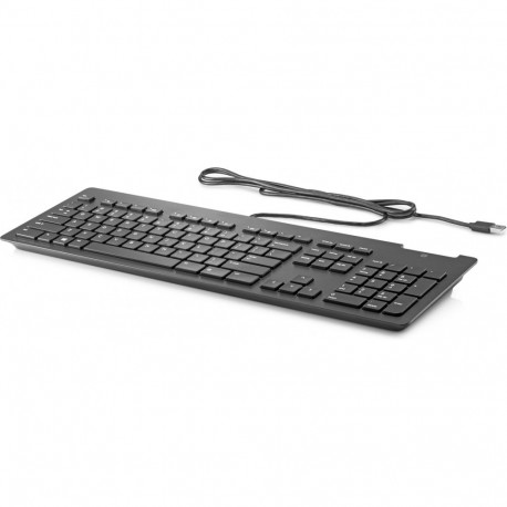 "HP USB SMARTCARDKEYBOARD CCID"