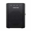 Amplifier FONESTAR