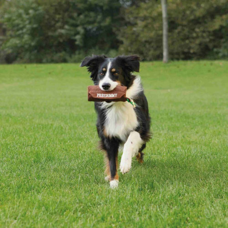 Dog toy Trixie Brown Canvas Ø 8 × 20 CM