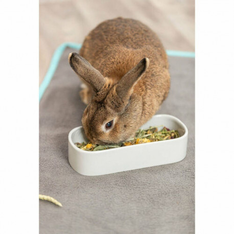 Loomasööt Trixie 600 ml