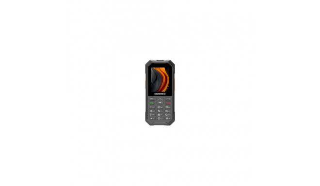 Hammer 6 LTE, security system, 48 MB, 128 MB