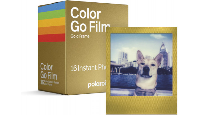 Polaroid Go Color Gold Frame 2-pack