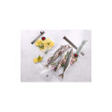 Vac bag Fresh and Save 35x25cm 10 pieces