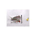 Vac bag Fresh and Save 35x25cm 10 pieces
