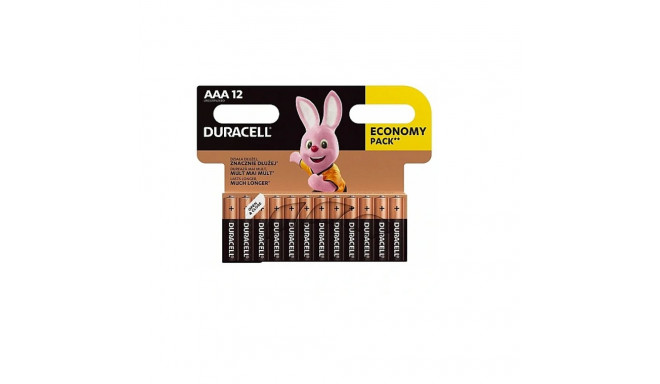 Duracell AAA MN2400 leelispatareid LR03 1,5V (12 tk) (EU blister)