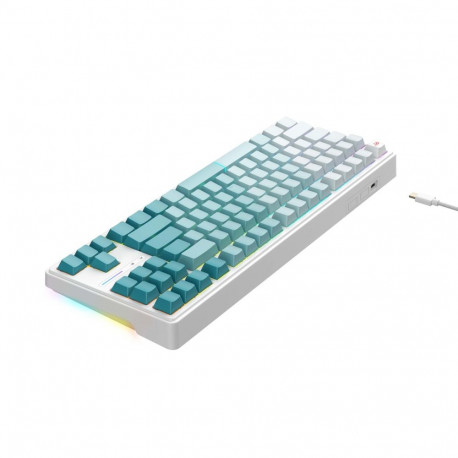 Gaming Keyboard - Havit KB901L Wired USB 88 Keys RGB Backlight 1.8m White Green