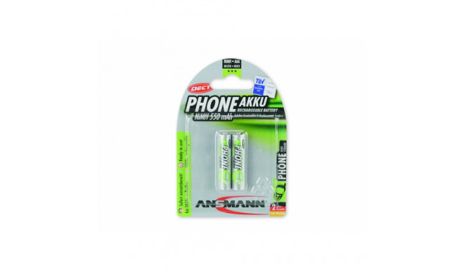 550mAh DECT (silber, 2x AAA (Micro))