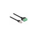 DeLOCK RJ45 Cable Cat.6 plug to Terminal Block Adapter 30 cm 2-part