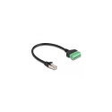 DeLOCK RJ45 Cable Cat.6 plug to Terminal Block Adapter 30 cm 2-part