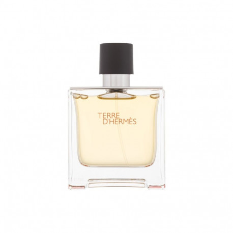Hermes Terre d'Hermes (75ml)