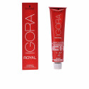 Püsivärv Igora Royal Schwarzkopf - 8-4 - 60 ml