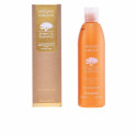 Nourishing Shampoo Argan Sublime Farmavita 250 ml 1 L - 250 ml Nourishing Shampoo Argan Sublime Farmavita 250 ml 1 L - 250 ml