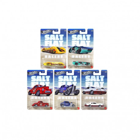 Hot Wheels® Salt Flat teemaautod