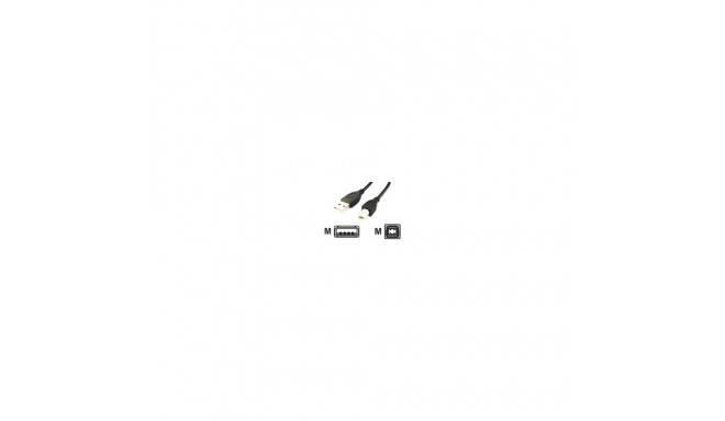 Gembird GEMBIRD CCP-USB2-AMBM-10 Gembird USB 2.0