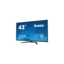 iiyama ProLite 43" large format desktop monitor with 4K resolution, offering you the power 