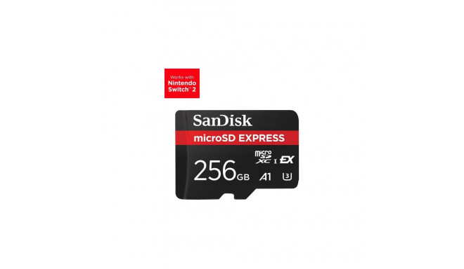 SanDisk Express 256 GB MicroSDXC UHS-I