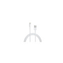 APPLE Lightning to USB Cable 0.5M